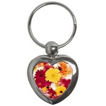 daisys Key Chain (Heart)