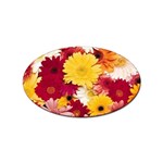 daisys Sticker Oval (10 pack)