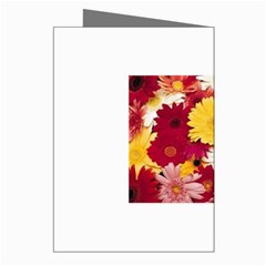 daisys Greeting Cards (Pkg of 8) from UrbanLoad.com Right
