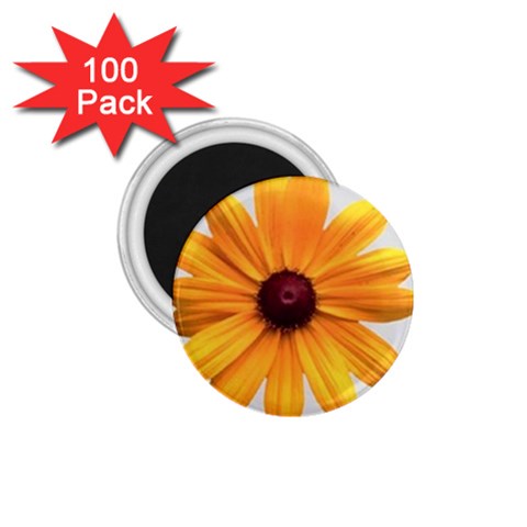 daisy 1.75  Magnet (100 pack)  from UrbanLoad.com Front