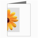 daisy Greeting Card