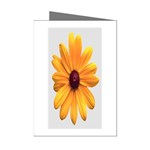 daisy Mini Greeting Cards (Pkg of 8)