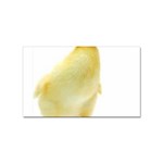 chick duck duckling Sticker (Rectangular)
