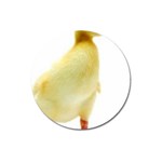 chick duck duckling Magnet 3  (Round)