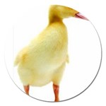 chick duck duckling Magnet 5  (Round)