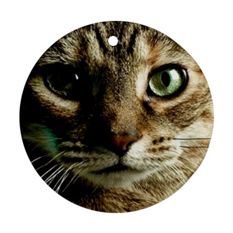 cat Ornament (Round) from UrbanLoad.com Front
