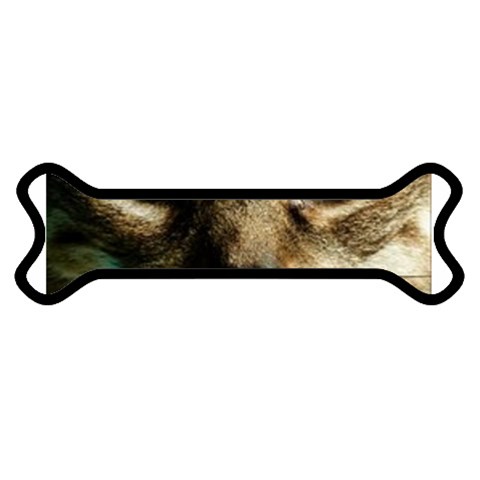cat Magnet (Dog Bone) from UrbanLoad.com Front