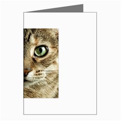 cat Greeting Cards (Pkg of 8) from UrbanLoad.com Left