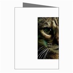 cat Greeting Cards (Pkg of 8) from UrbanLoad.com Right