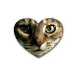 cat Heart Coaster (4 pack)
