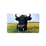 bull Magnet (Name Card)