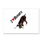 boxer 3 Sticker A4 (10 pack)