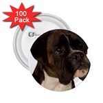 boxer 2 2.25  Button (100 pack)