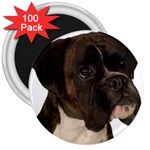 boxer 2 3  Magnet (100 pack)