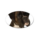 boxer 2 Sticker Oval (100 pack)