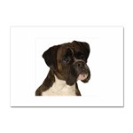 boxer 2 Sticker A4 (100 pack)