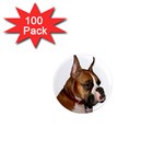 boxer 1  Mini Magnet (100 pack) 