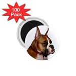 boxer 1.75  Magnet (100 pack) 