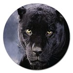 black panther Magnet 5  (Round)