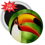 bird 3  Magnet (100 pack)