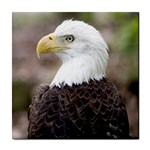 bald eagle Tile Coaster