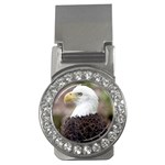 bald eagle Money Clip (CZ)