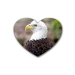 bald eagle Heart Coaster (4 pack)