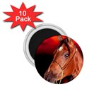 arabian horse 1.75  Magnet (10 pack) 