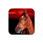 arabian horse Rubber Square Coaster (4 pack)