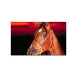 arabian horse Sticker Rectangular (10 pack)