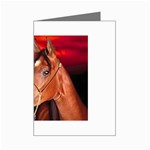 arabian horse Mini Greeting Card