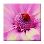 Ladybug On a Flower Tile Coaster