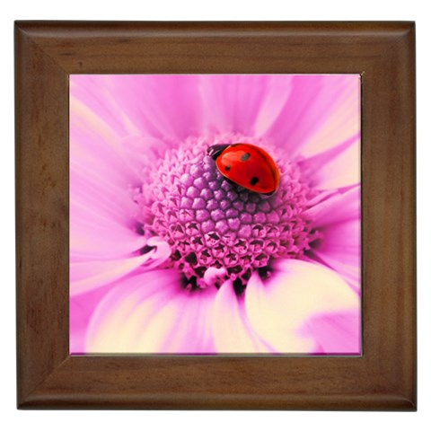 Ladybug On a Flower Framed Tile from UrbanLoad.com Front
