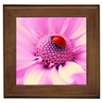 Ladybug On a Flower Framed Tile