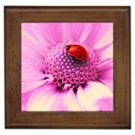 Ladybug On a Flower Framed Tile