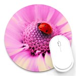 Ladybug On a Flower Round Mousepad