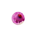 Ladybug On a Flower 1  Mini Button