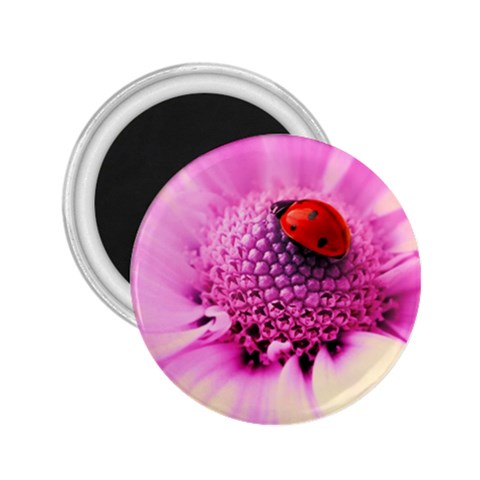 Ladybug On a Flower 2.25  Magnet from UrbanLoad.com Front