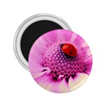 Ladybug On a Flower 2.25  Magnet