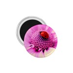 Ladybug On a Flower 1.75  Magnet