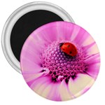 Ladybug On a Flower 3  Magnet