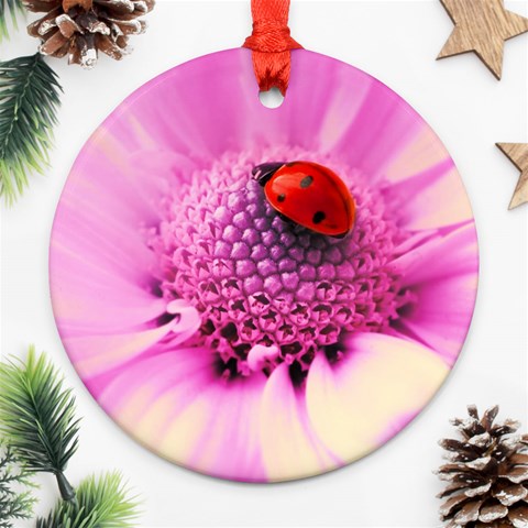 Ladybug On a Flower Ornament (Round) from UrbanLoad.com Front