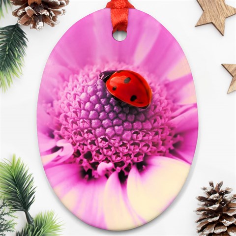Ladybug On a Flower Ornament (Oval) from UrbanLoad.com Front