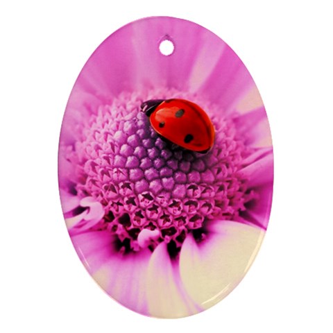 Ladybug On a Flower Ornament (Oval) from UrbanLoad.com Front