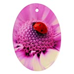 Ladybug On a Flower Ornament (Oval)