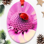 Ladybug On a Flower Ornament (Oval)