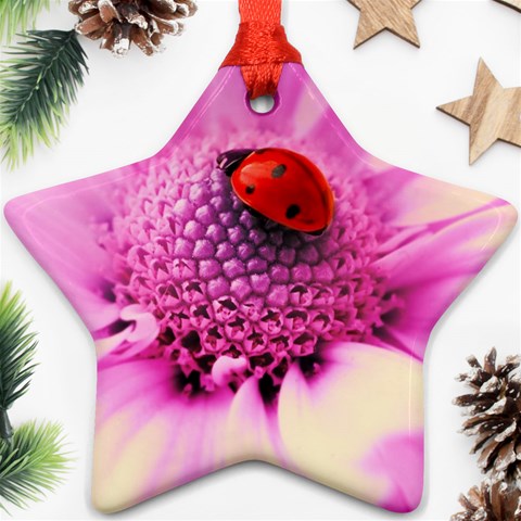 Ladybug On a Flower Ornament (Star) from UrbanLoad.com Front
