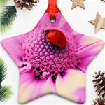 Ladybug On a Flower Ornament (Star)