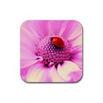 Ladybug On a Flower Rubber Coaster (Square)