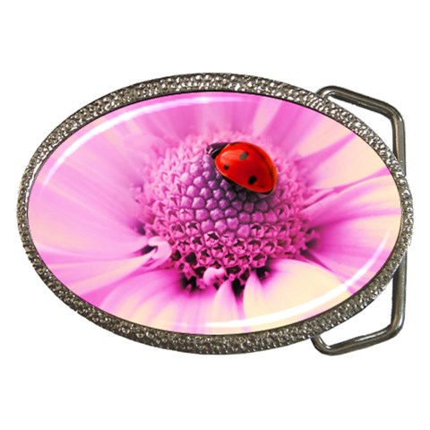 Ladybug On a Flower Belt Buckle from UrbanLoad.com Front